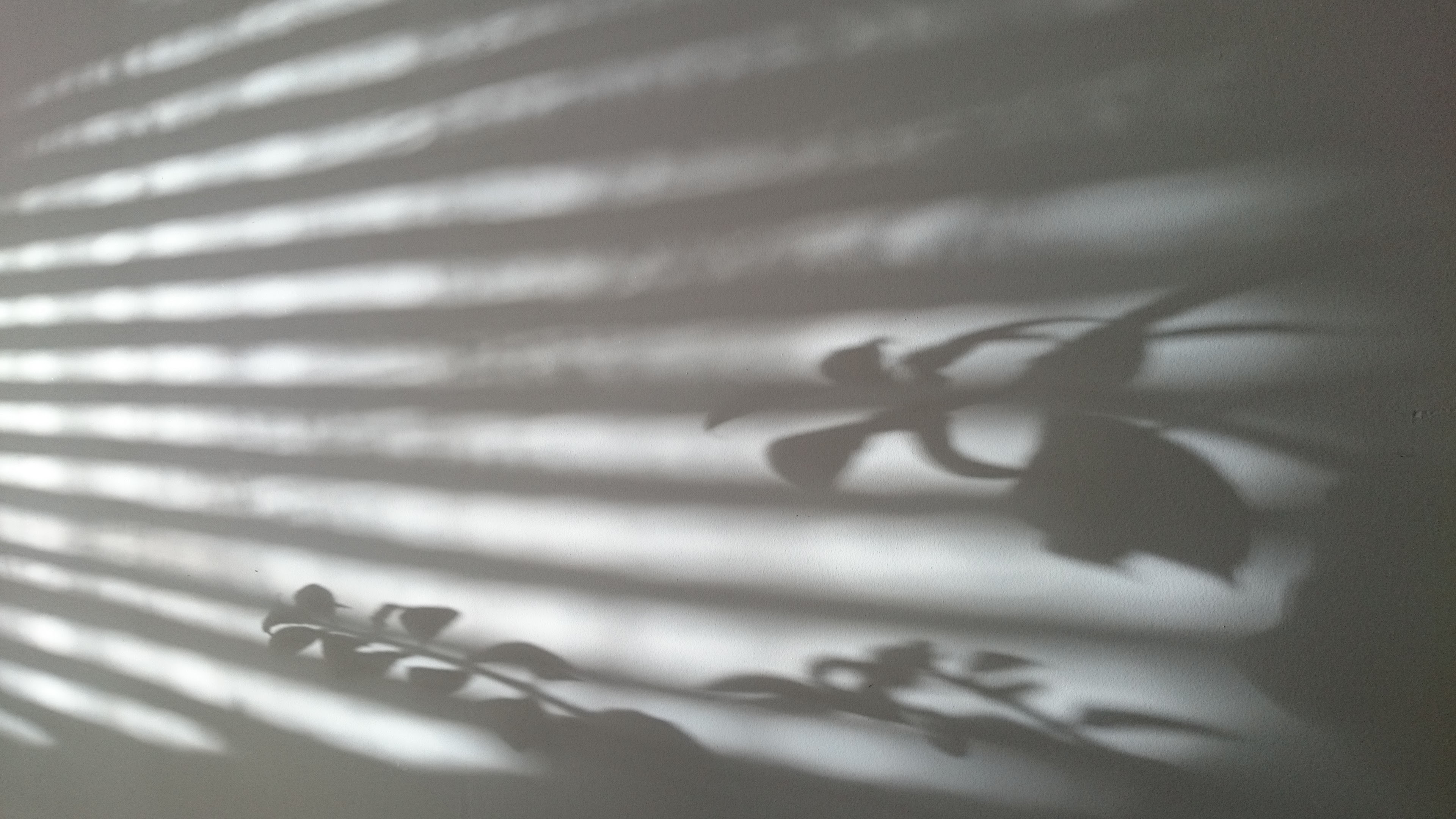 Shadows on a Ceiling